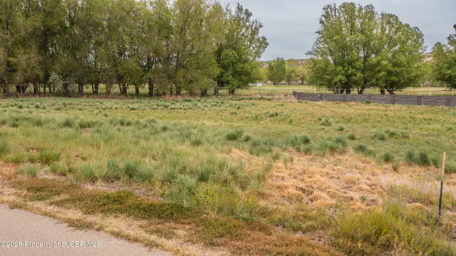 5933 Vista Del Rio Court, Farmington, NM 87402 - #3