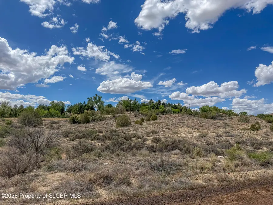 XX Road 5127, Bloomfield, NM 87413 - #3
