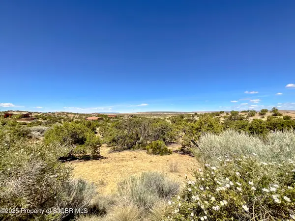 1630 Vista Hermosa, Farmington, NM 87401
