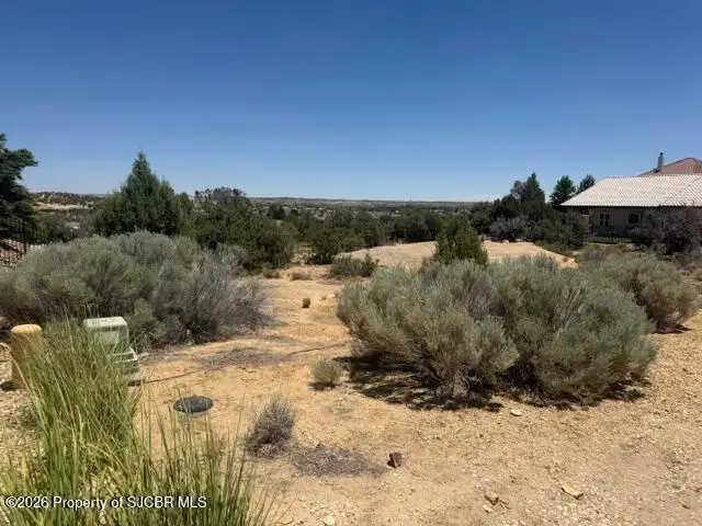 6520 Mulligans, Farmington, NM 87402 - #2