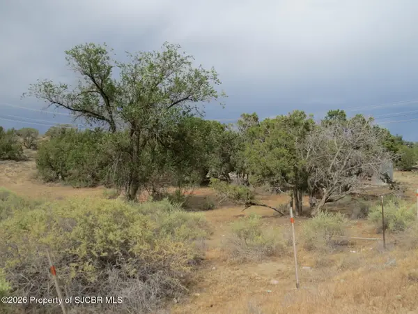 LOT 1A Road 2950, Aztec, NM 87410