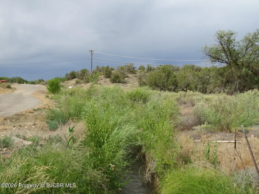 LOT 1A Road 2950, Aztec, NM 87410 - #3