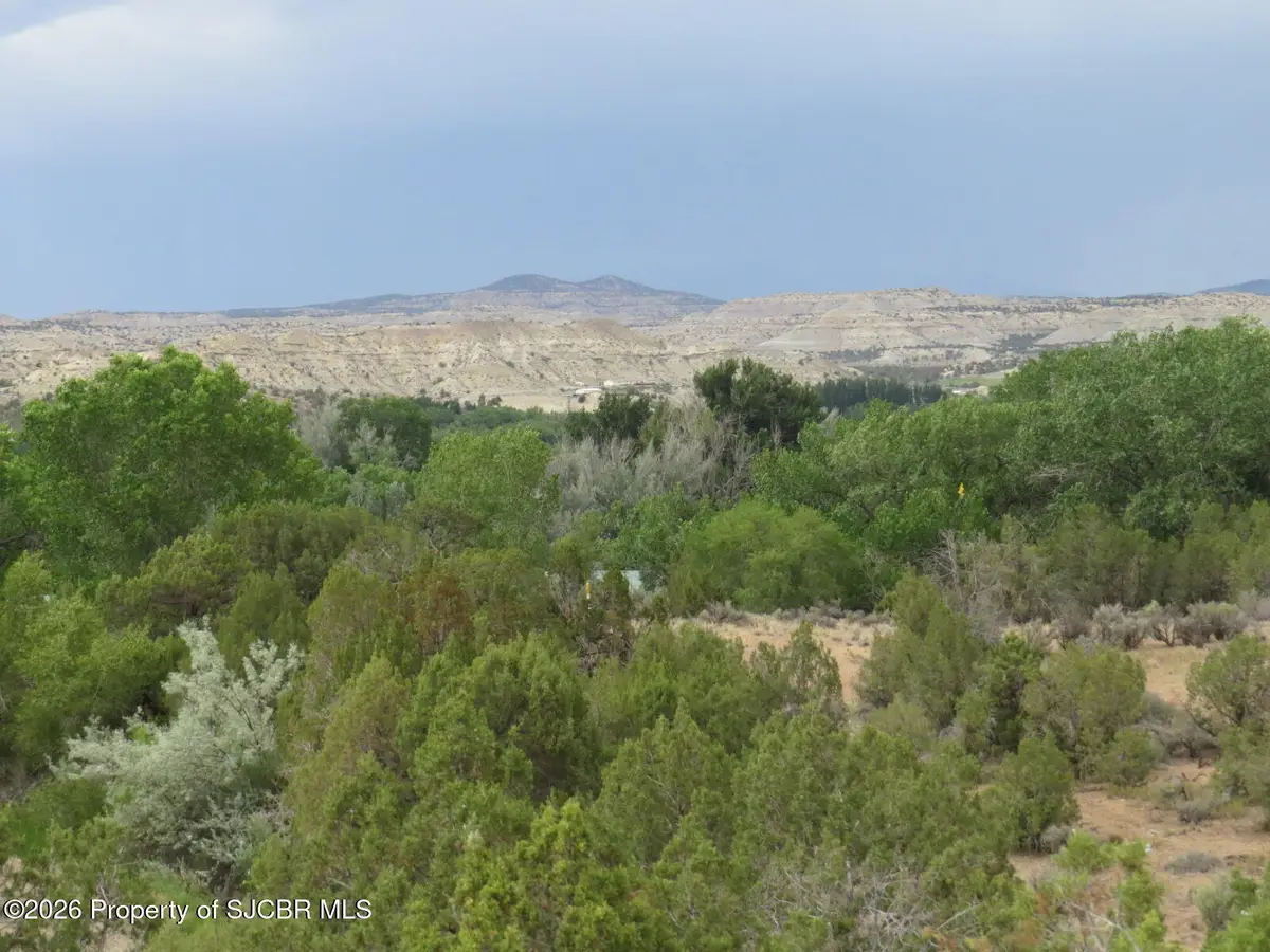 LOT 2A Road 2950, Aztec, NM 87410 - #1