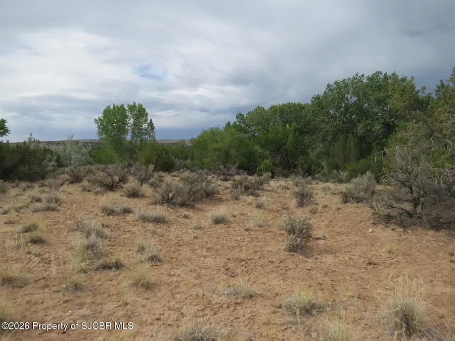 LOT 2A Road 2950, Aztec, NM 87410 - #3