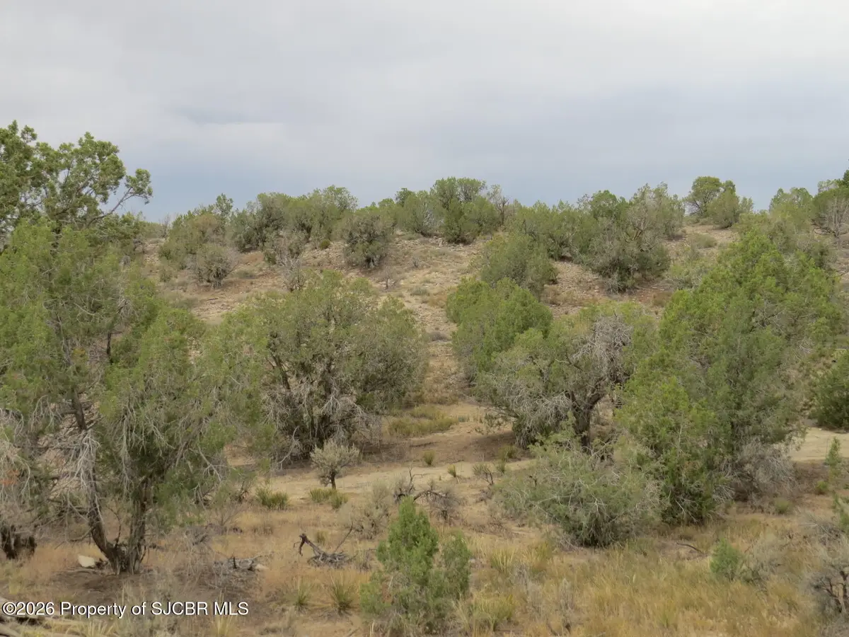 3A Road 2950, Aztec, NM 87410 - #1