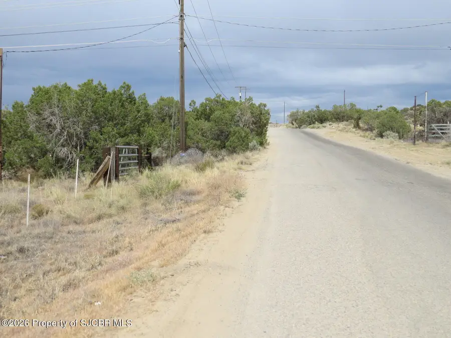 3A Road 2950, Aztec, NM 87410 - #2