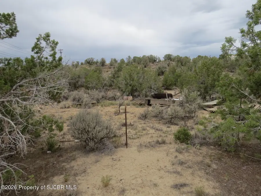 3A Road 2950, Aztec, NM 87410 - #3