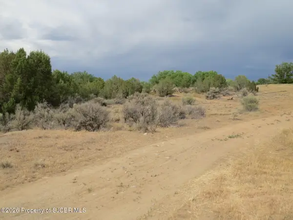 LOT 4A Road 2950, Aztec, NM 87410