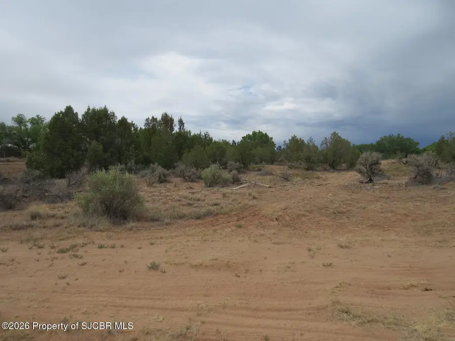 LOT 4A Road 2950, Aztec, NM 87410 - #2