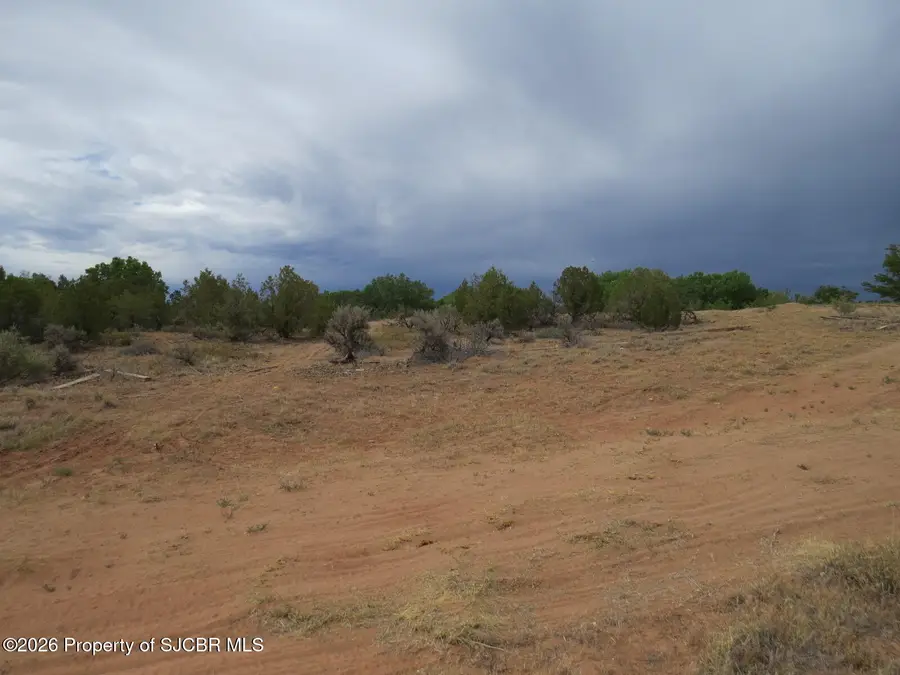 LOT 4A Road 2950, Aztec, NM 87410 - #3