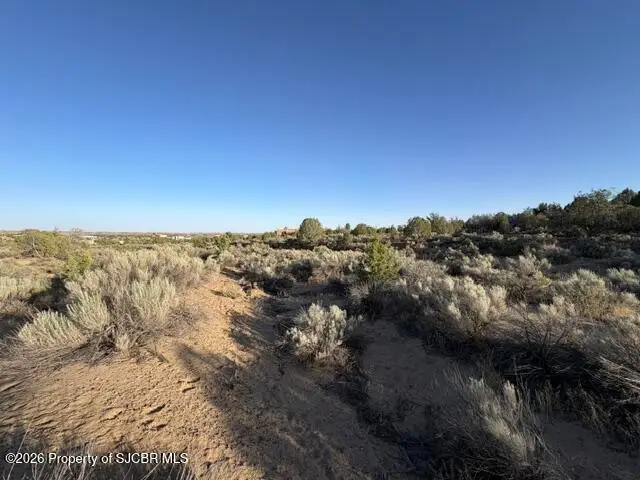 XX Escalante, Farmington, NM 87402 - #2