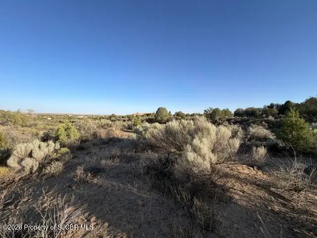 XX Escalante, Farmington, NM 87402 - #3