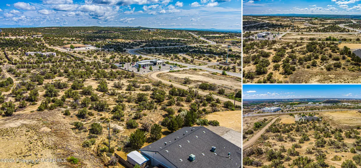 NYA Cactus, Farmington, NM 87402 - #1