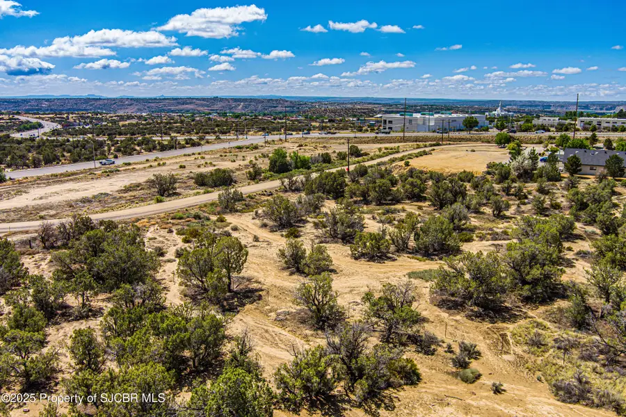 NYA Cactus, Farmington, NM 87402 - #2