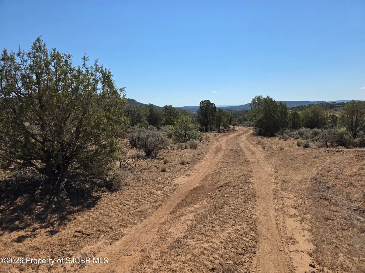 16 Road 40509, Navajo Dam, NM 87419 - #1