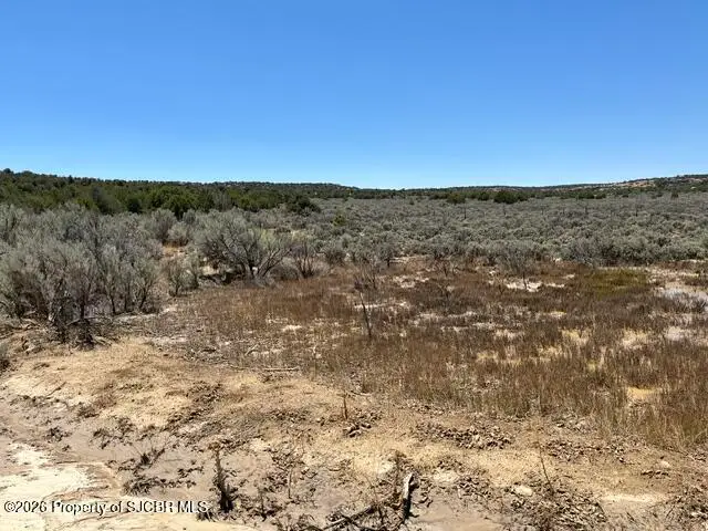 XX Nm 173, Navajo Dam, NM 87419 - #1