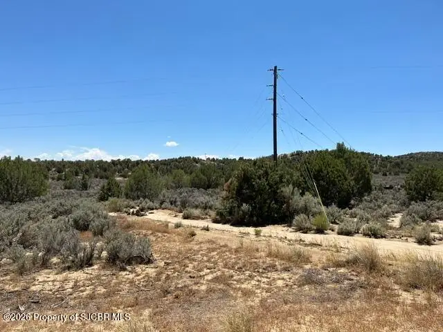 XX Nm 173, Navajo Dam, NM 87419 - #2