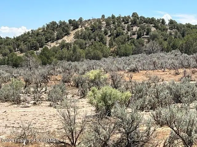 XX Nm 173, Navajo Dam, NM 87419 - #3