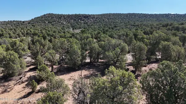 2.43 NYA New Mexico 511, Navajo Dam, NM 87419