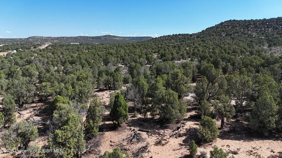 2.43 NYA New Mexico 511, Navajo Dam, NM 87419 - #2