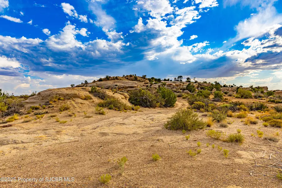 NYA Glade, Farmington, NM 87401 - #3