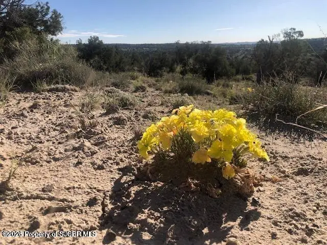XX Off Road 3160, Aztec, NM 87410 - #3