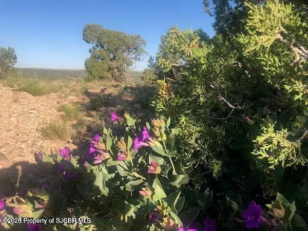 XX Off Road 3450, Flora Vista, NM 87415