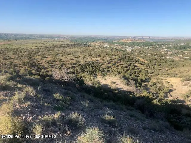 XX Off Road 3450, Flora Vista, NM 87415 - #3