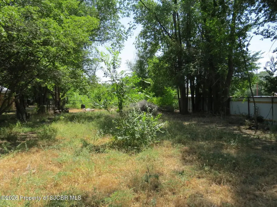 707 Mc Coy, Aztec, NM 87410 - #2