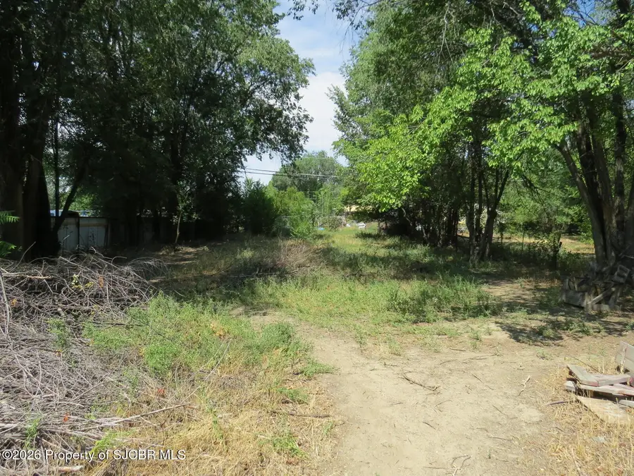 707 Mc Coy, Aztec, NM 87410 - #3