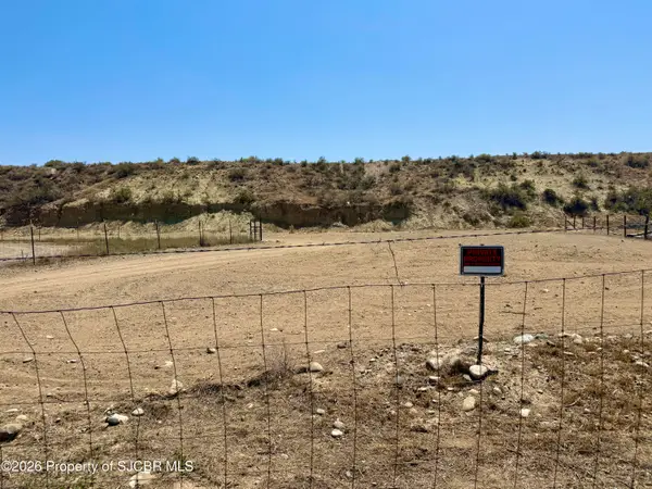 XX Road 5010, Bloomfield, NM 87413