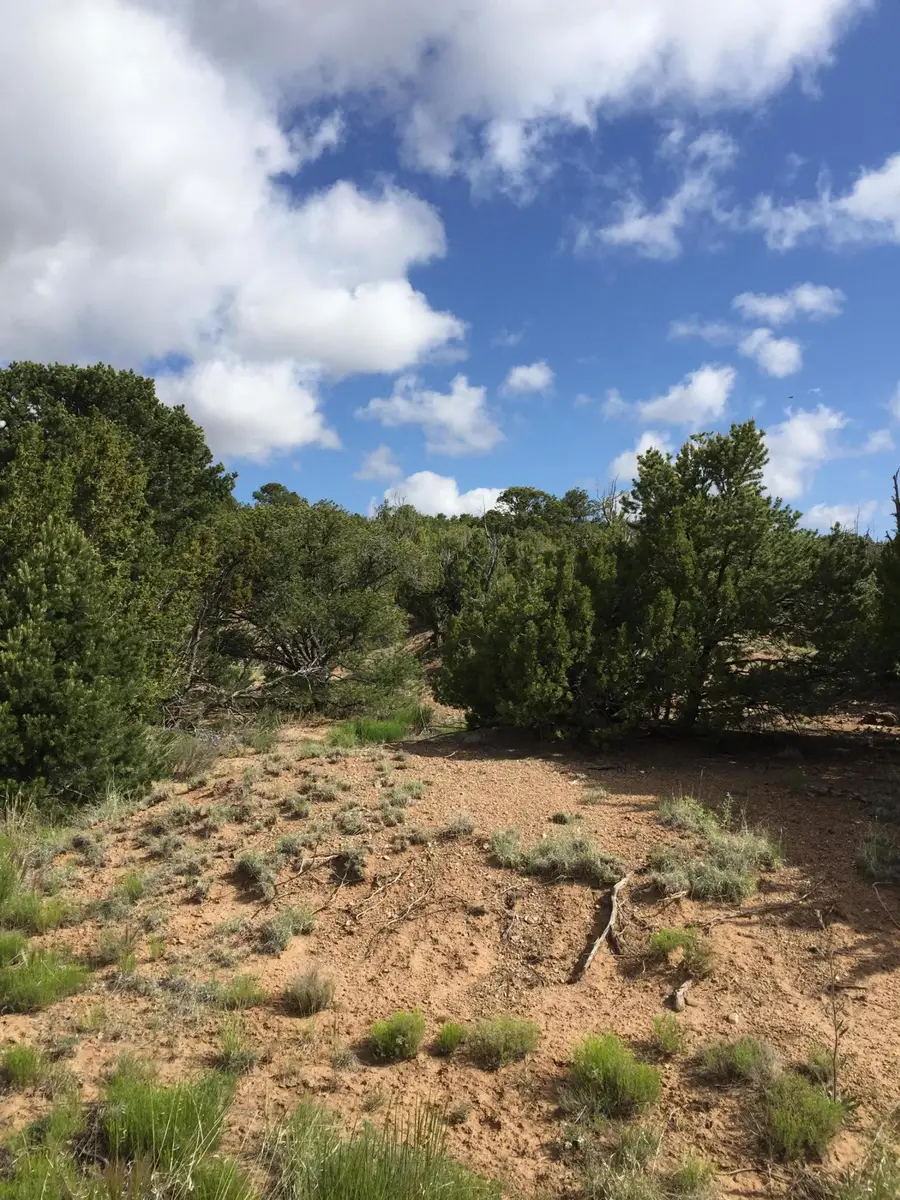 84 Rain Dance Road, Sandia Park, NM 87047 - Image #3