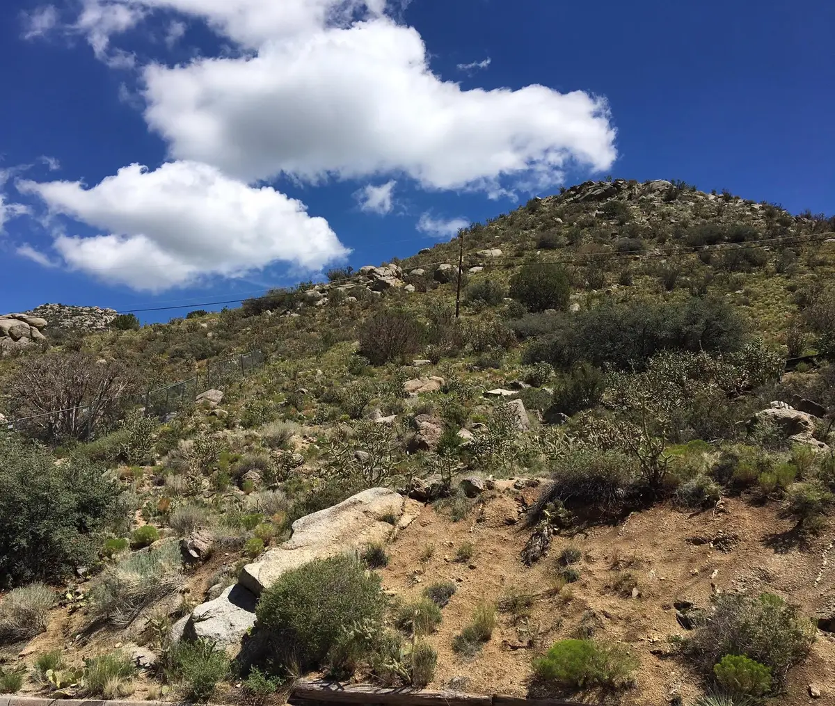 4424 Skyline Court Ne, Albuquerque, NM 87111 - Image #1