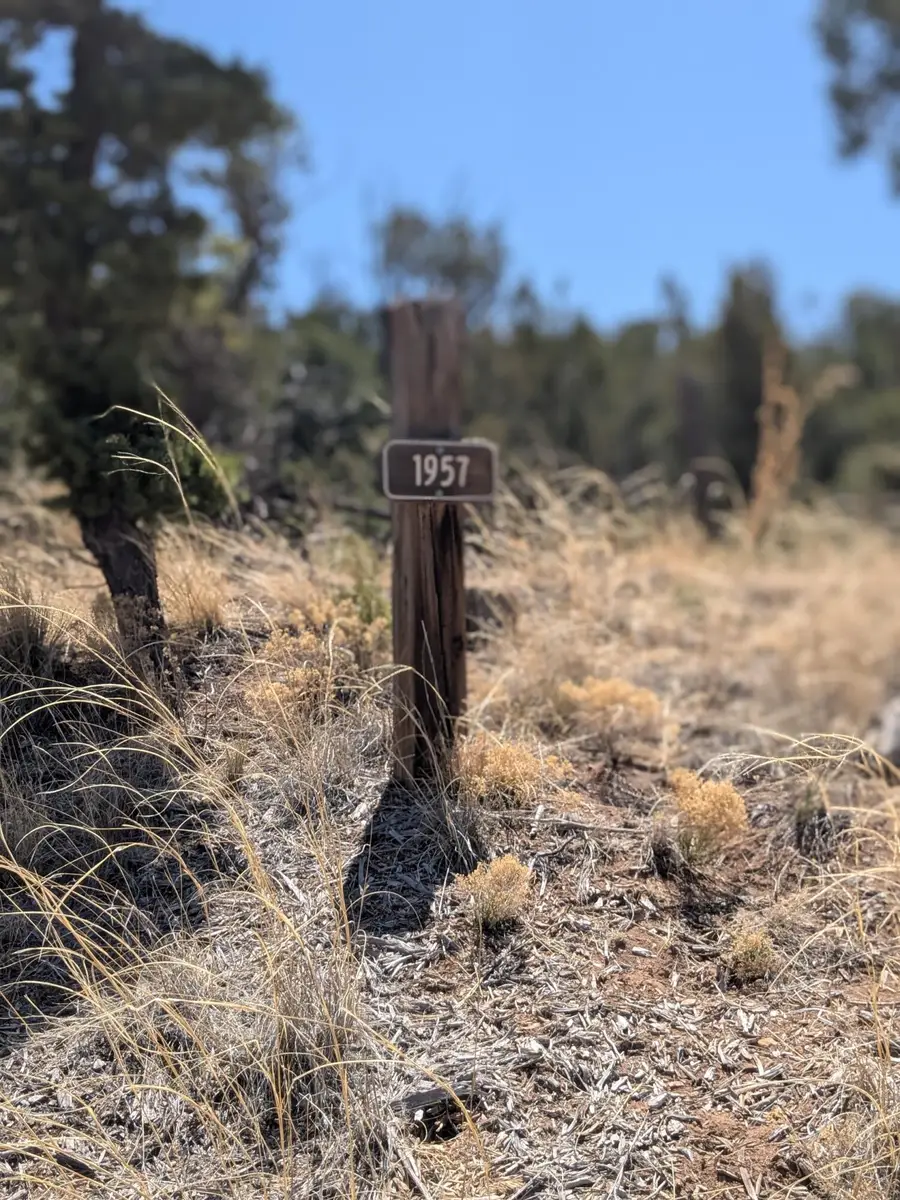 1957 Deer Canyon Trail, Mountainair, NM 87036 - Image #3