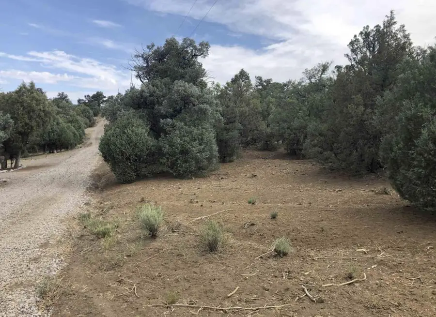 S Leaning Lot B, Tierra Amarilla, NM 87575 - Image #3