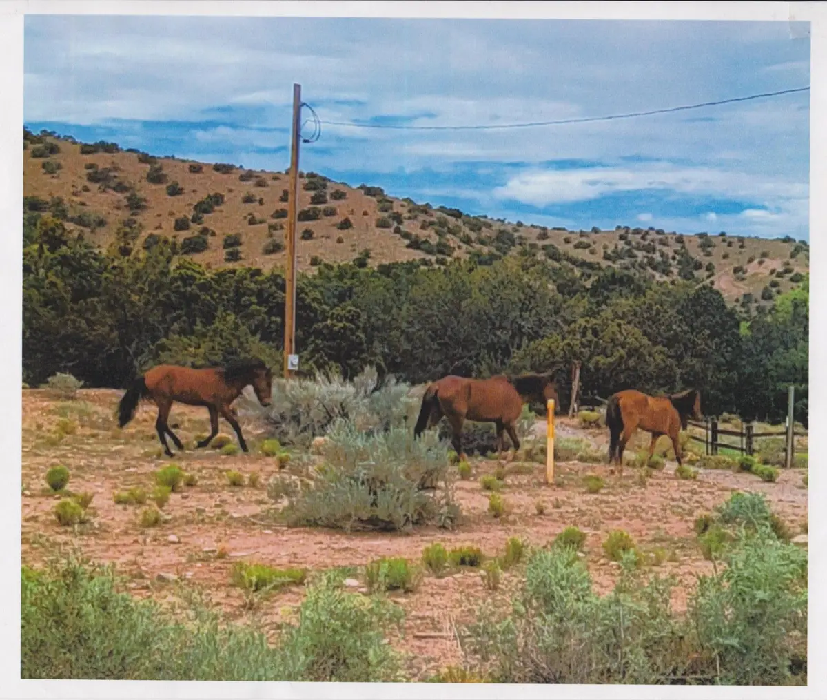 Tres Amigos, Placitas, NM 87043 - Image #1