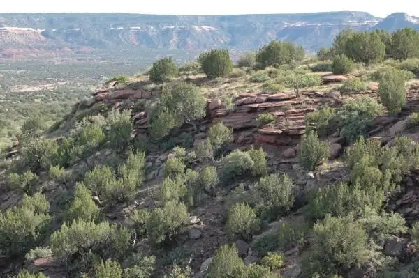 18 Mesquite Lane, Newkirk, NM 88431 - Image #3