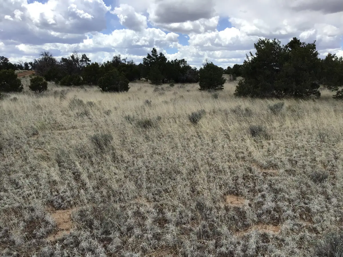 Lot 38 Country Lane, Ramah, NM 87321 - Image #1