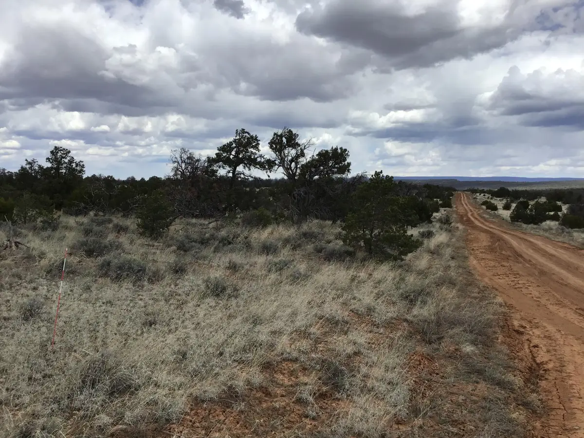Lot 39 Country Lane, Ramah, NM 87321 - Image #1