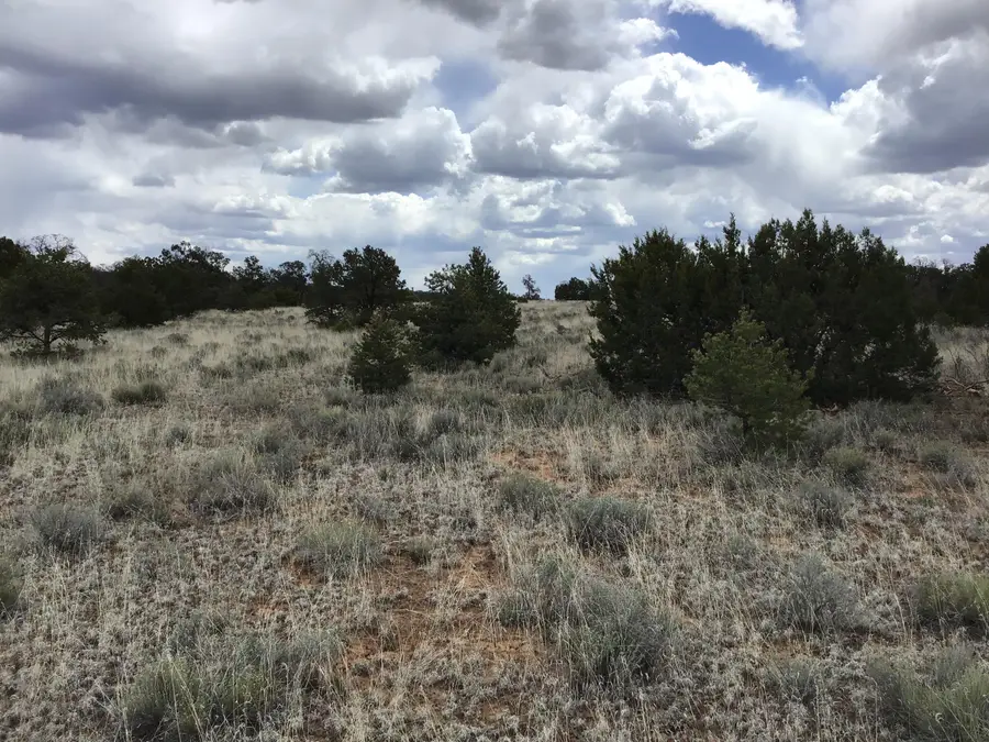 Lot 39 Country Lane, Ramah, NM 87321 - Image #3