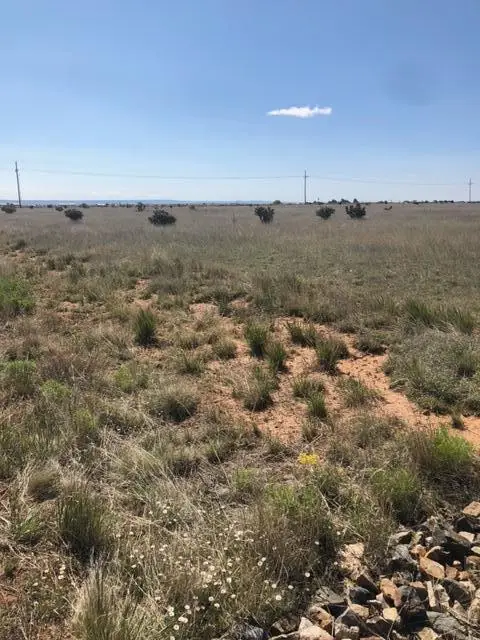 8 Equestrian Park Road, Edgewood, NM 87015 - Image #3