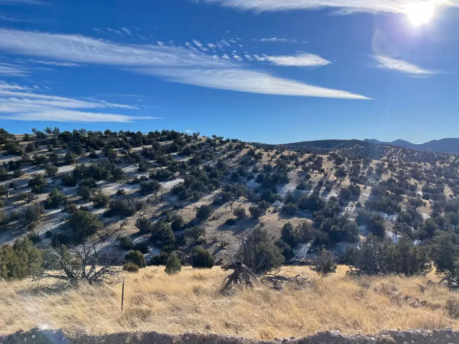 Lot 129 Pinon Springs, Magdalena, NM 87825 - Image #3