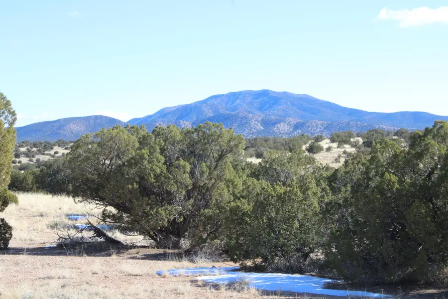 105 Acres Demetrio Road, Sandia Park, NM 87047 - Image #3