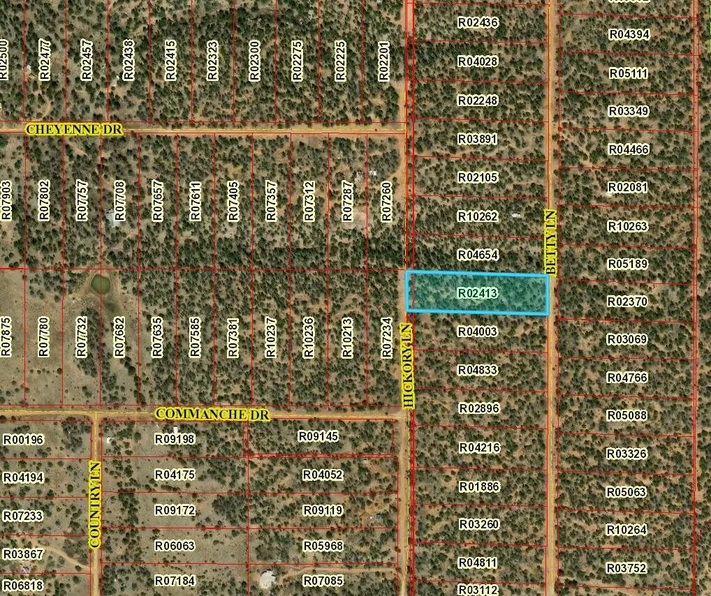 Lot 591 Betty Lane, Ramah, NM 87321 - Image #1