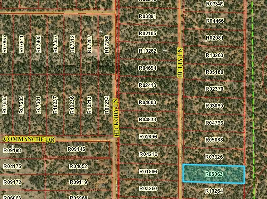 Lot 617 Betty Lane, Ramah, NM 87321 - Image #1