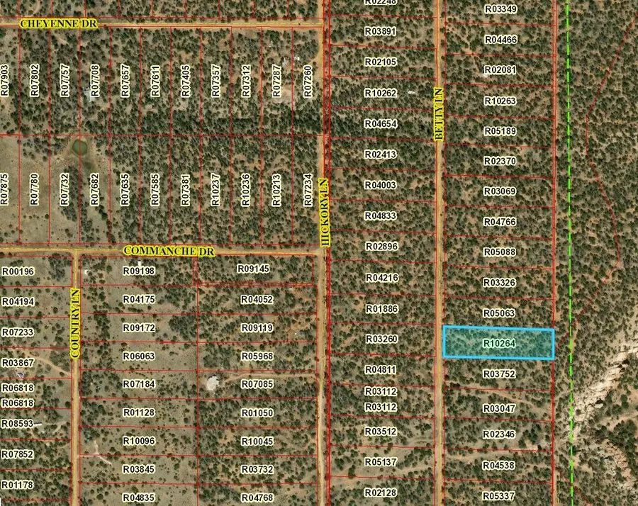 Lot 618 Betty Lane, Ramah, NM 87321 - Image #2