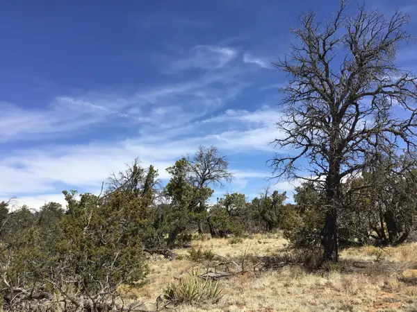 Lot 636-A Edgewood Drive, Ramah, NM 87321