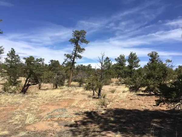 Lot 640-A Gabe Road, Ramah, NM 87321