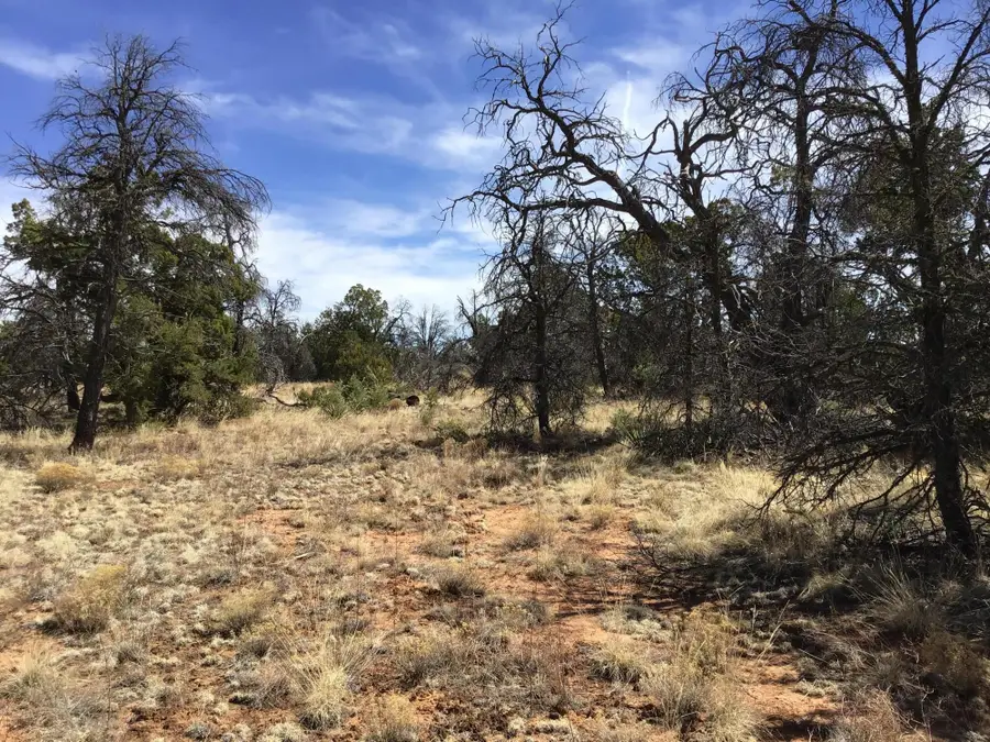 Lot 641 Gabe Road, Ramah, NM 87321 - Image #3