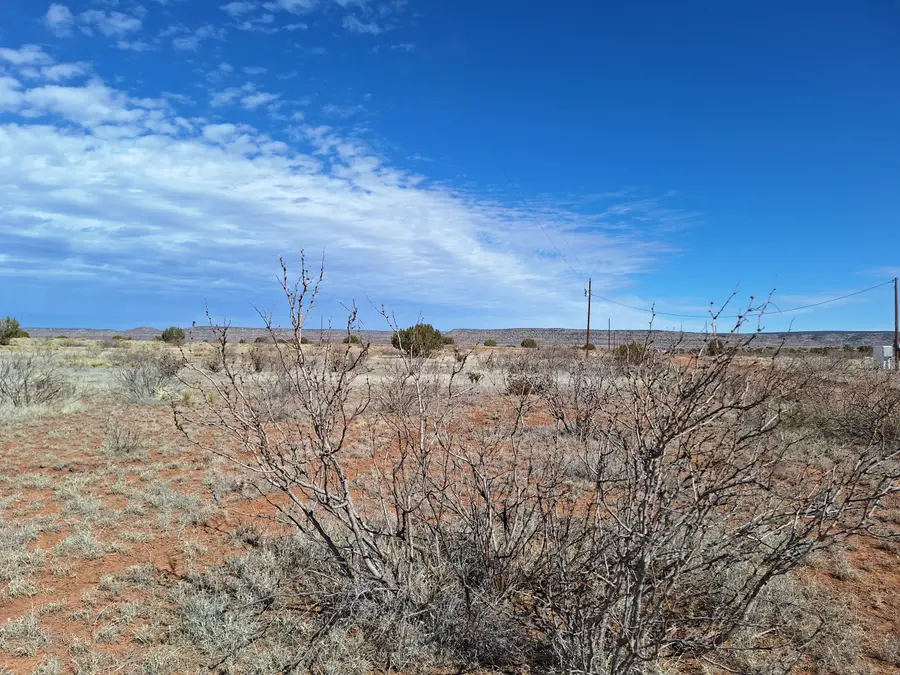 05 Magnolia, Garita, NM 88421 - #2